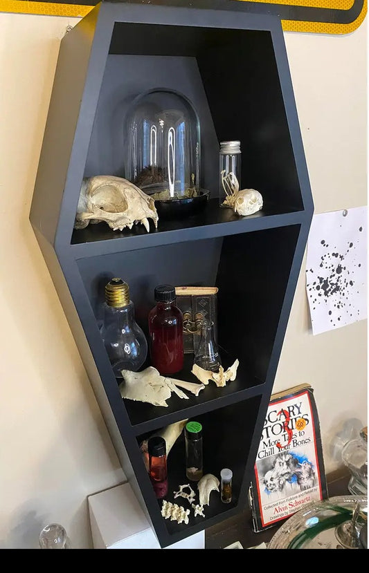 Deluxe Goth Coffin Shelf 20"